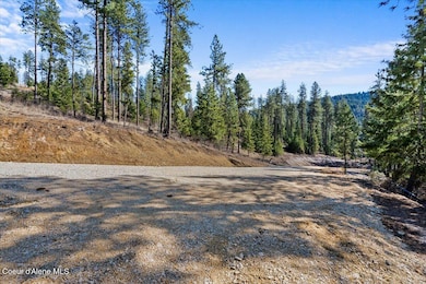 L1B1 NKA Highway 97, Harrison, ID 83833 - photo 5