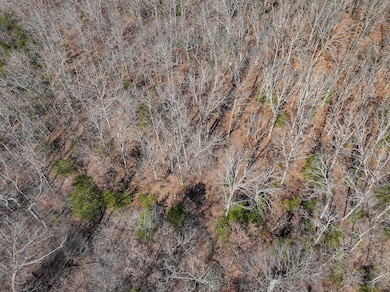 000 SE 1151, Dallas Township, MO 64738 - photo 5