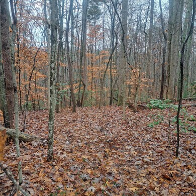 8100 Somerset Rd, London, KY 40741 - photo 3