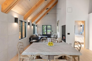 737 W Galena Ave, Telluride, CO 81320 - photo 7