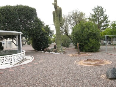 Backyard to the North