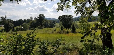 00 Purlear Rd, Purlear, NC 28665 - photo 2