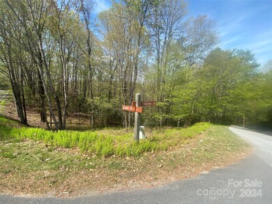 TBD Elaqua Ct unit 54 & 55A/26, Brevard, NC 28712 - photo 5