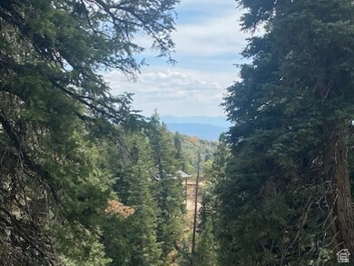 View of mountain background with a heavily wooded area