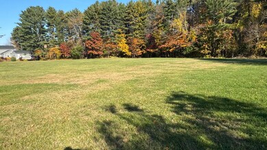 IMG_3881