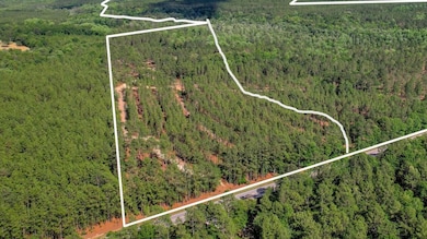 80 Acres Columbia Hwy N, Ridge Spring, SC 29129 - photo 3