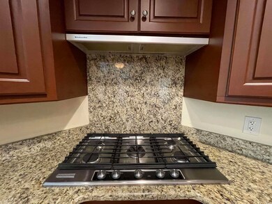 Room details with stainless steel gas stovetop