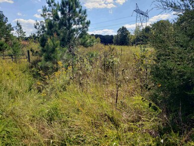 View of nature
