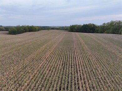 00 Fox Rd, Fayette, IA 52142 - photo 7