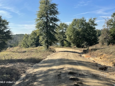 14119 US Highway 98, Lucedale, MS 39452 - photo 4