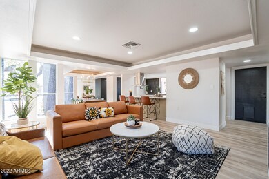 Hackamore-6