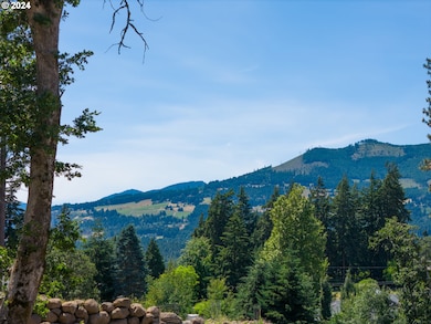 0 Painted Sky Ln unit 3 24266386, White Salmon, WA 98672 - photo 6