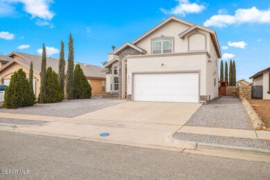 20250115172332446997000000-o