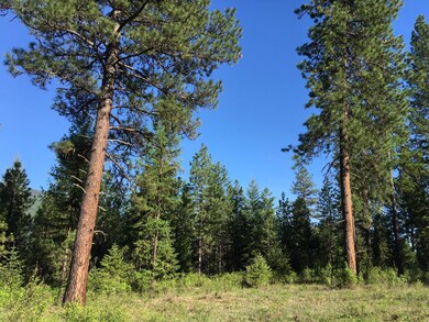 126 Deer Run Rd, Trout Creek, MT 59874 - photo 7