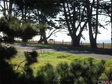 Horses graze on the Oceanfront Ranch.  Picture tak