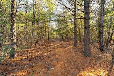 7 Leaman Dr, Gloucester, MA 01930 - photo 7