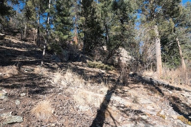 11722 Braun Way, Conifer, CO 80433 - photo 6