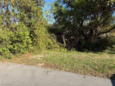 2069 Penguin Ave, Akron, OH 44319 - photo 4