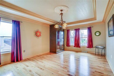 19x14 dining room with tray ceiling, fabulous rust