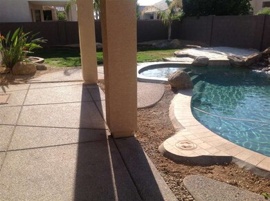 Your Back Yard