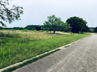 51 Old Vine Dr unit 14, Fredericksburg, TX 78624 - photo 4