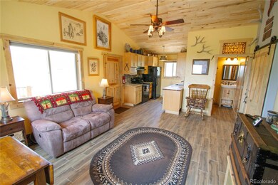 4134 Buffalo Ridge Rd, Como, CO 80432 - photo 4