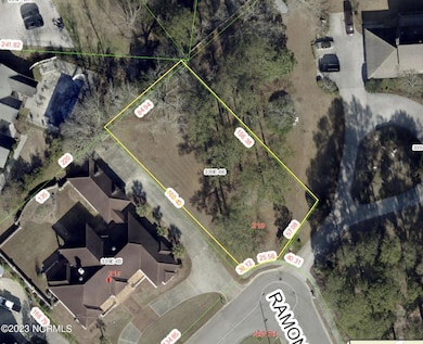 319 Ramona, Jacksonville, NC 28540 - photo 6