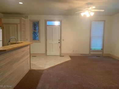 Wood burning fireplace