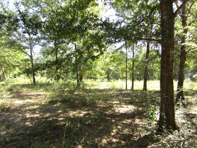 1038 Valley Rd, Crestview, FL 32539 - photo 6