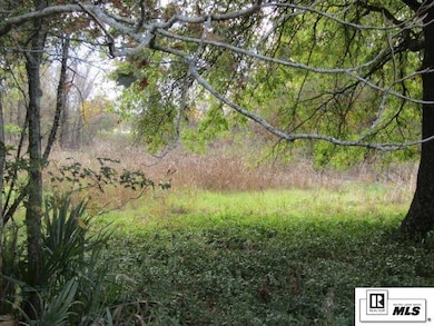 000 State Route 585, Alto, LA 71269 - photo 5