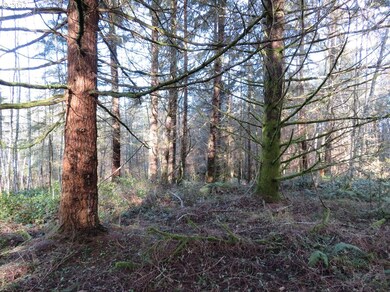 0 Cousins Rd unit 3 17223585, Chehalis, WA 98532 - photo 4