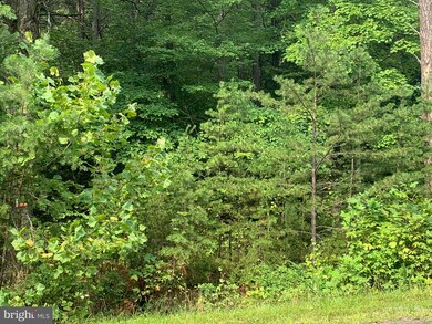 LOT 81 Cressida Dr, Valley, WV 25427 - photo 4
