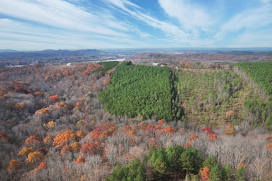 338 County Road 41, Calhoun, TN 37309 - photo 4