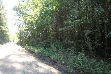Road view 2