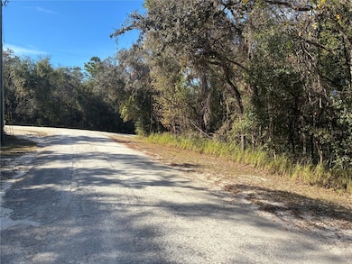 0 Arrowrock St, Webster, FL 33597 - photo 3