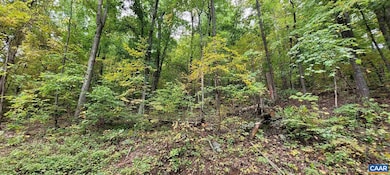 0 Barrow Ln unit 623164, Stanardsville, VA 22973 - photo 6