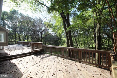 13217 Shady Ridge Ln, Fairfax, VA 22033 - photo 6