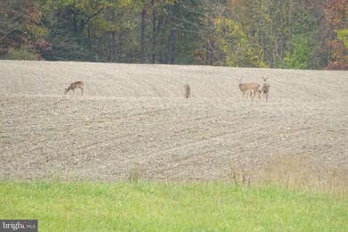 12052 Grant Shook Rd, Greencastle, PA 17225 - photo 6
