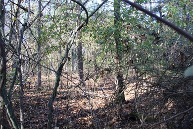 001-04740-000 Marion County 5045, Yellville, AR 72687 - photo 5