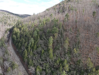 VL County Route 119 N, Cameron, NY 14819 - photo 3