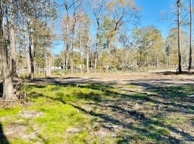 Another view of Large open lot.