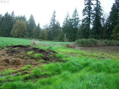 12989 S Mulino Rd, Canby, OR 97013 - photo 6