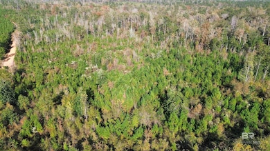 159 Dakota Rd, McKenzie, AL 36456 - photo 2