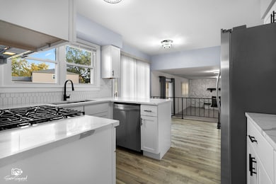 118 Camelot Way, Bolingbrook, IL 60440 - photo 3