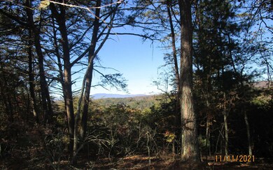 0 Dean Rd unit 311867, Mineral Bluff, GA 30559 - photo 3