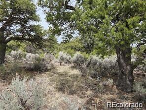 4584 Laidlaw, Fort Garland, CO 81133 - photo 3