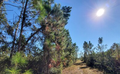 0 County Line Rd unit 19604811, Lee, FL 32059 - photo 2