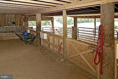 1700 Ednor Rd, Silver Spring, MD 20905 - photo 6