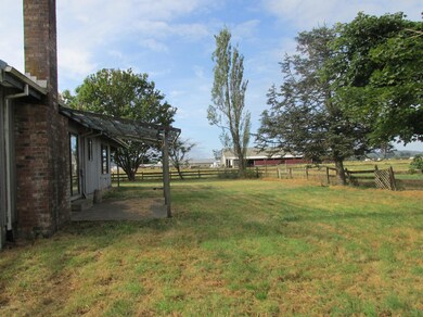 Rear yard
