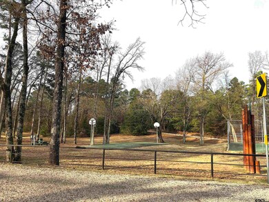 Lot 15 Hunters Hollow Dr, Mount Vernon, TX 75457 - photo 6